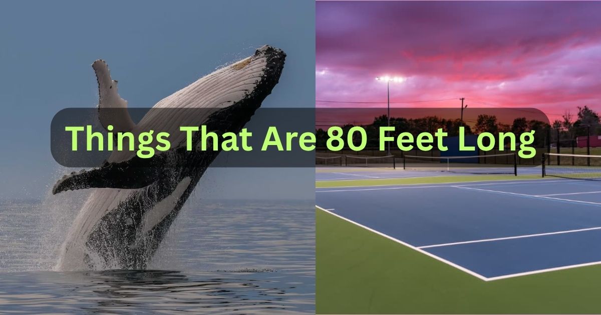80 feet