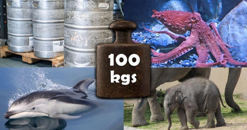 Things That Weigh 100 Kilograms