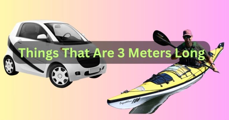 How Long is 3 Meters? 11 Most Common Things That Are 3 Meters Long
