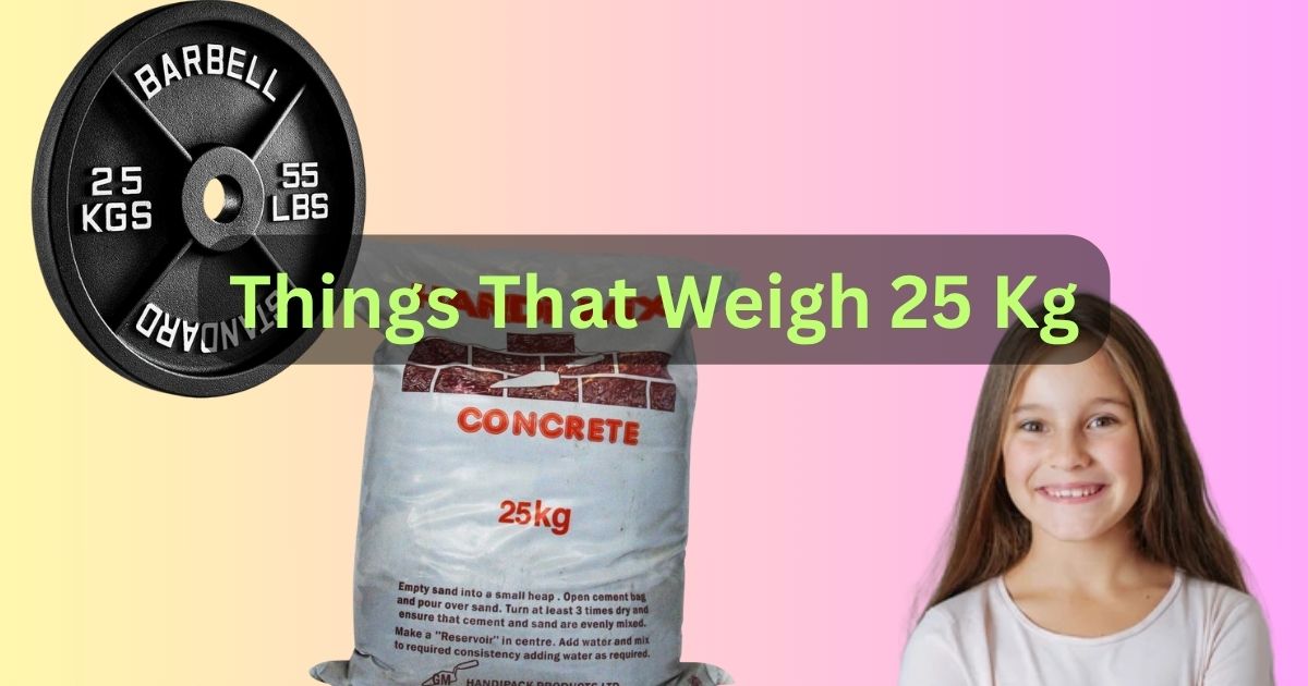 things that weigh 25 kg