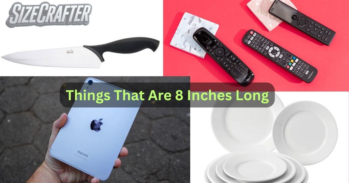 Things that are 8 inches long