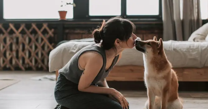 The Growing Bond Between People and Pets in Modern Society Benefits and Impact on Life