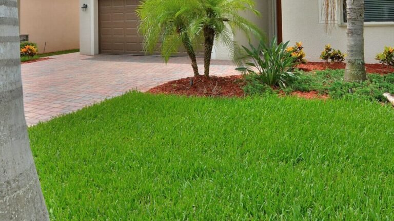 Year-Round Lawn Care Tips for a Healthy, Vibrant Yard