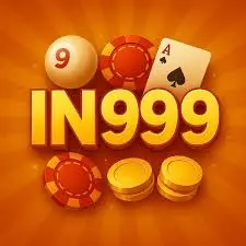 Step-by-Step Tutorial: Mastering IN999