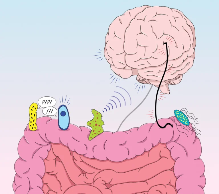Yield Prediction Simple Models That Beat Gut Feel