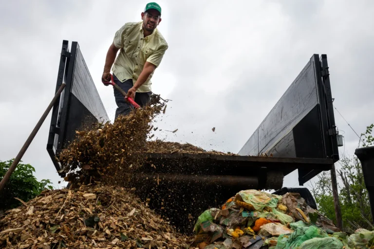 Compost Houston Enhance Your Sustainable Shopping