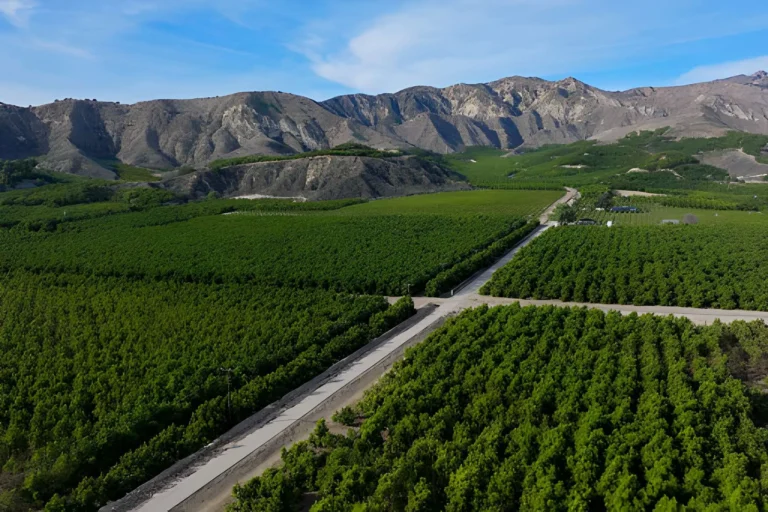 Customer Review Insights – Hypland Continues Growing Fast in California