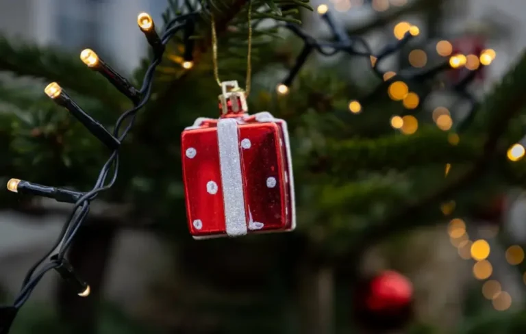 Holiday Decorating Hacks for Homes with Curious Pets