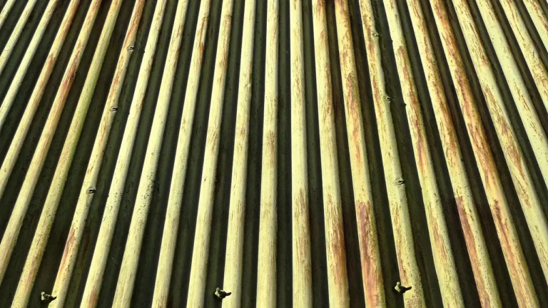 Shed Roof Replacement Cost Understanding Factors Influencing Shed Roof Replacement Expenses