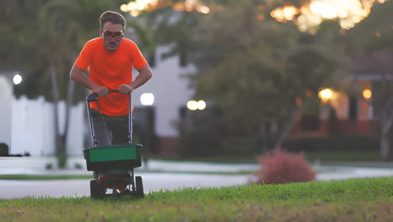 Understanding Professional Lawn Care Treatments for Healthier Lawns