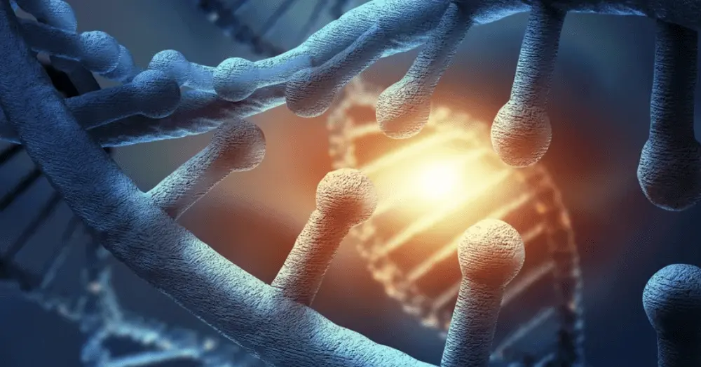 What Are the Benefits of Modern Stem Cell Treatments